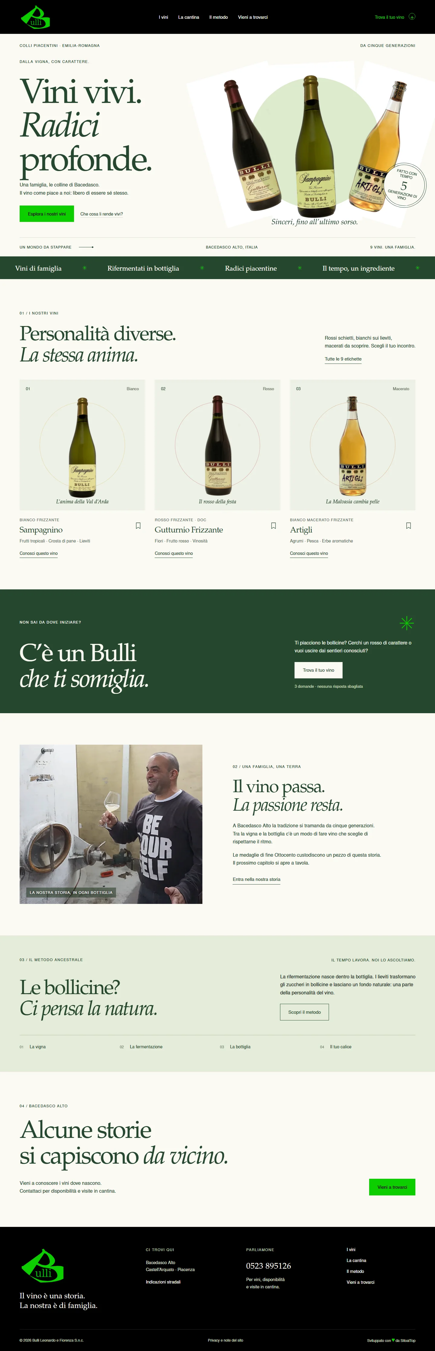 Schermata della home page del progetto Bulli