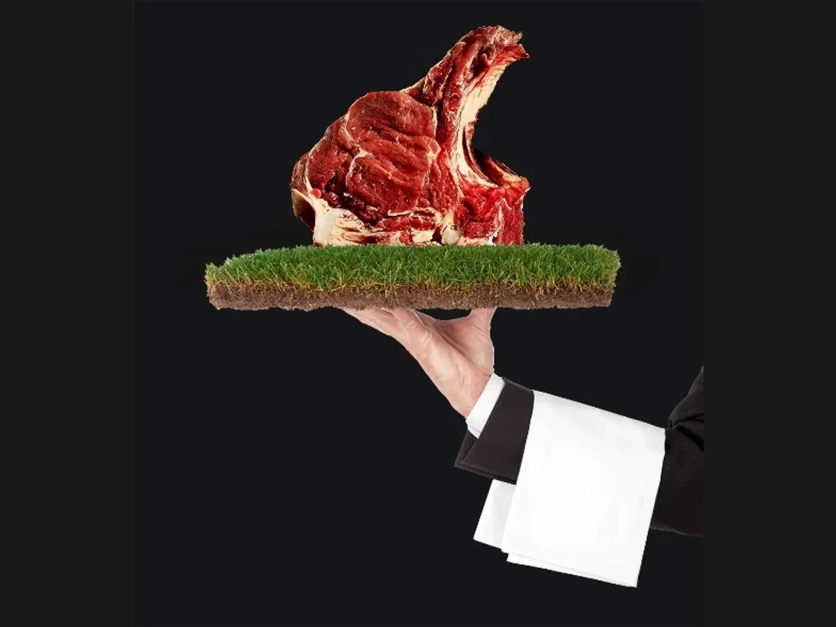Fotografia Corniola con una costata su una zolla di terra, immagine del percorso dalla terra alla tavola